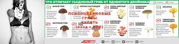 ПСИЛОЦИБИНОВЫЕ ГРИБЫ Балабаново