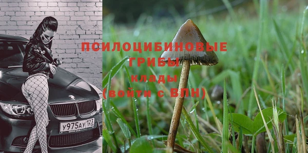 ПСИЛОЦИБИНОВЫЕ ГРИБЫ Балабаново