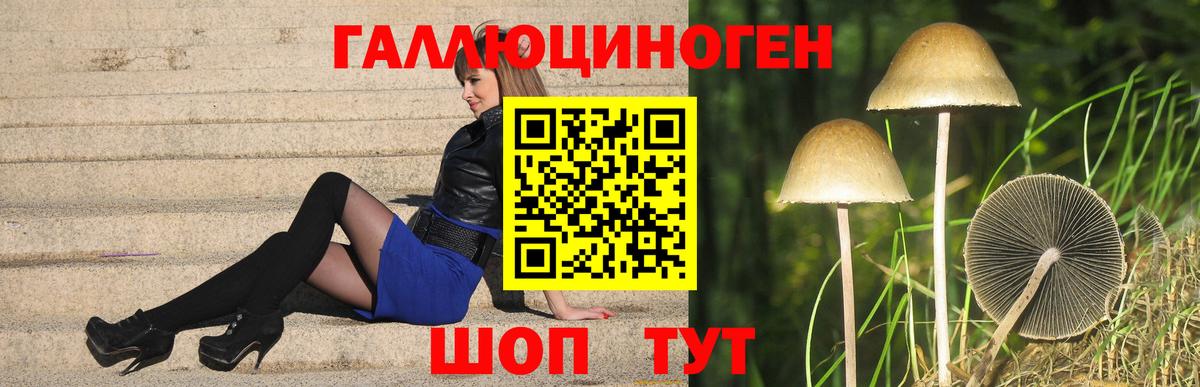 Галлюциногенные грибы Psilocybe Краснокаменск